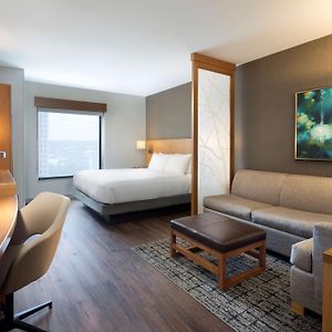 King Room Sofa Bed